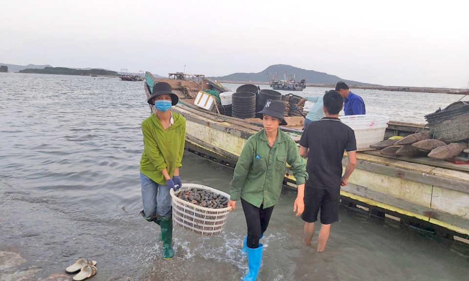 Phát triển nuôi trồng thủy sản trên biển Quảng Ninh xứng với tiềm năng lợi thế