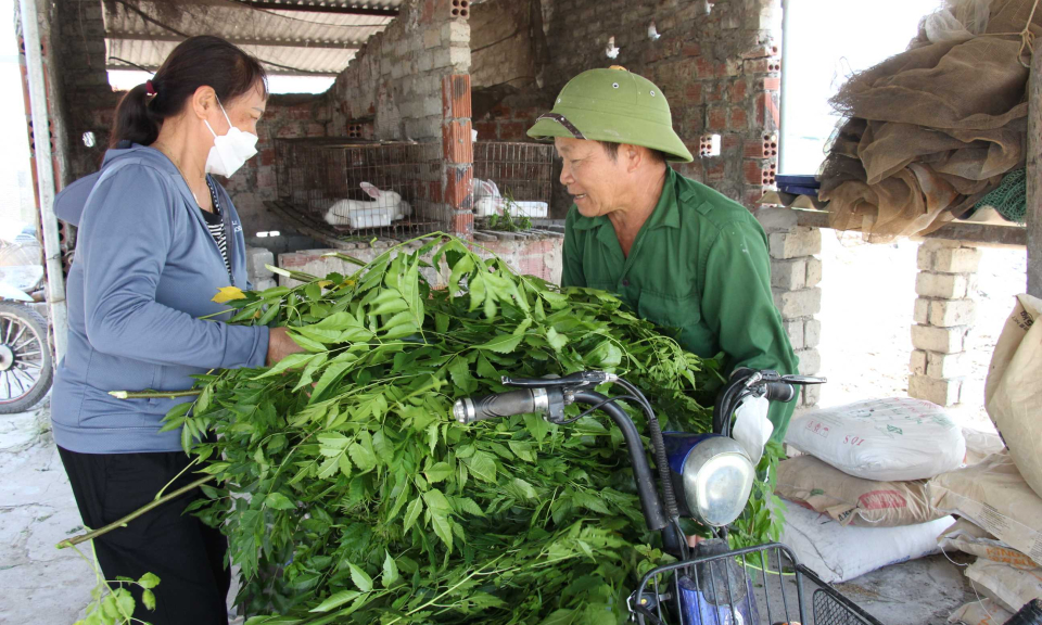 Chi hội trưởng phụ nữ nhiệt tình, gương mẫu