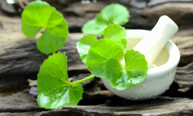 3 cách sử dụng rau má trong chăm sóc, làm đẹp da
