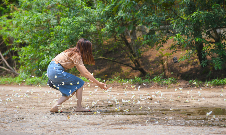 Three Vietnam parks win prizes at World Travel Awards