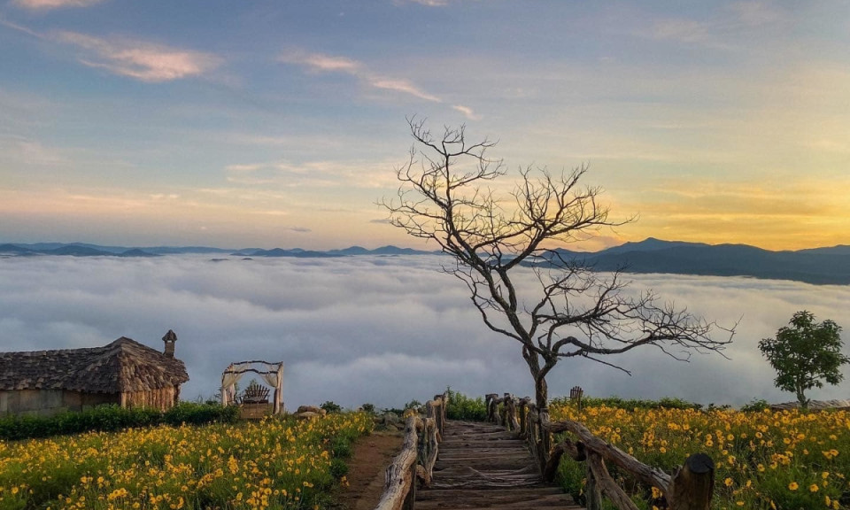 Đà Lạt cuối mùa săn mây