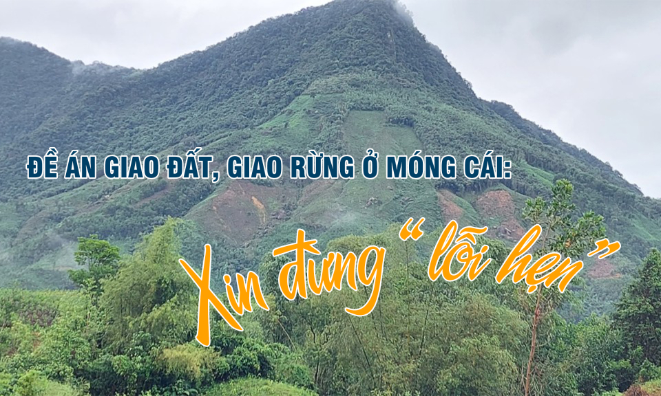 Đề án giao đất, giao rừng ở Móng Cái: Xin đừng “lỗi hẹn”