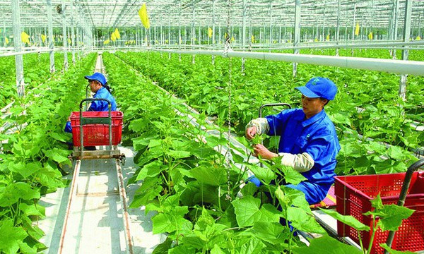 Vietnamese exporters urged to go green to optimise UKVFTA