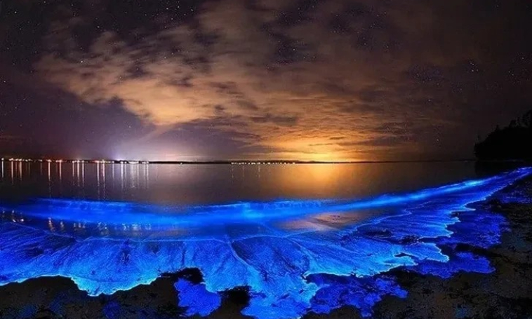 Biển huỳnh quang xuất hiện ở nhiều nơi, nhưng đó không phải là một hiện tượng tốt