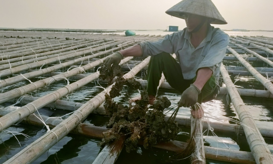 Cần đảm bảo nguồn cung ứng phao HDPE trong nuôi trồng thuỷ sản