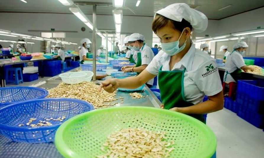 EVFTA ushers in greater outlook for trade and investment