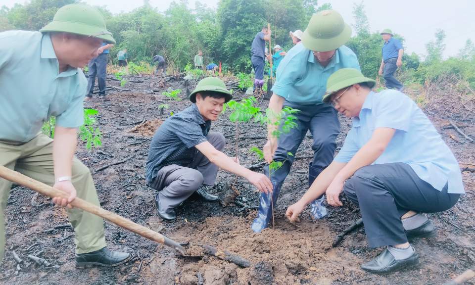 Ban Dân tộc tỉnh ra quân trồng rừng gỗ lớn tại Ba Chẽ