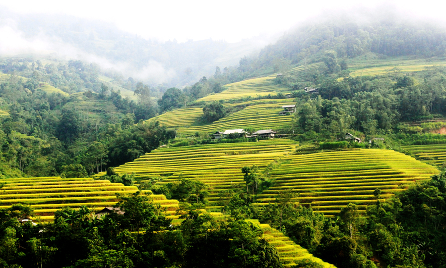 Bản tin vùng Đông Bắc ngày 20/9/2022