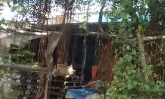 Nghiện rượu, con trai sát hại mẹ ruột