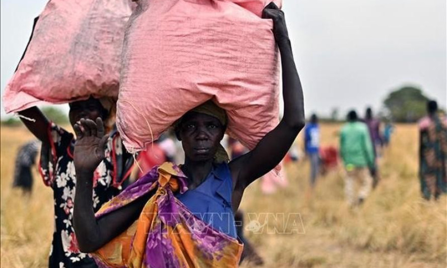 Unprecedented challenge of global food security
