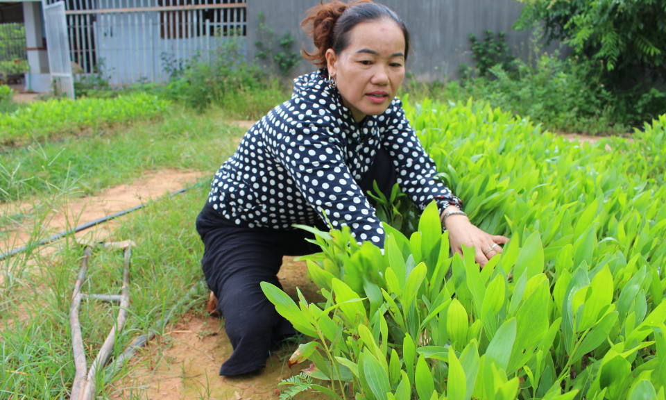 Người phụ nữ truyền cảm hứng cho những người kém may mắn