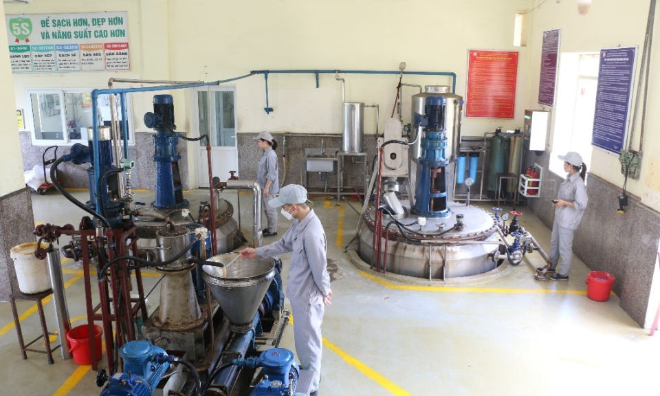 Nghị quyết của Đảng là “kim chỉ nam” cho phát triển bền vững