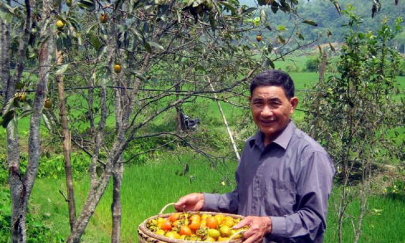 Bản tin vùng Đông Bắc ngày 22/9/2022