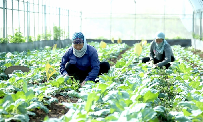 Agricultural sector pushes green growth in 2021-30 action plan
