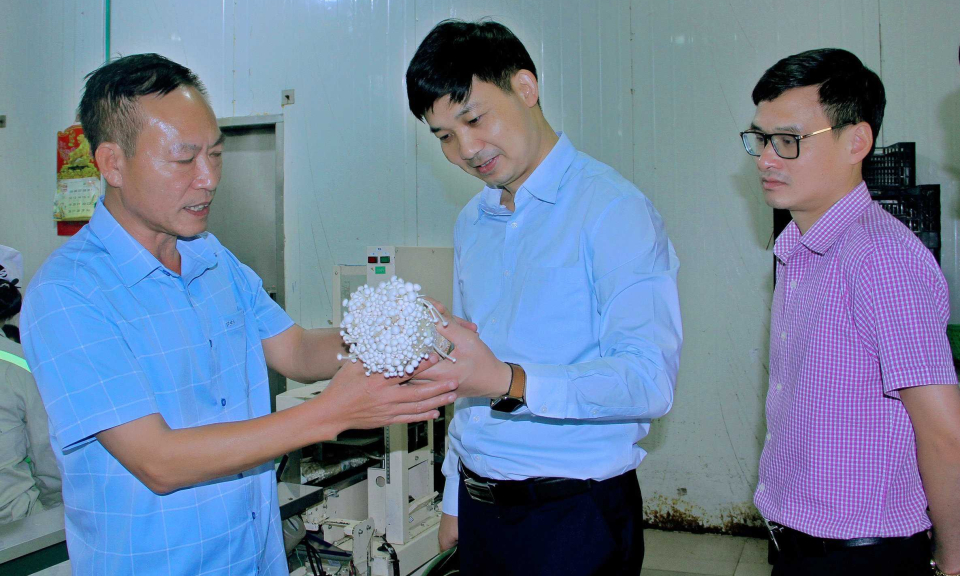 TX Đông Triều: Phát triển mô hình nông nghiệp đô thị