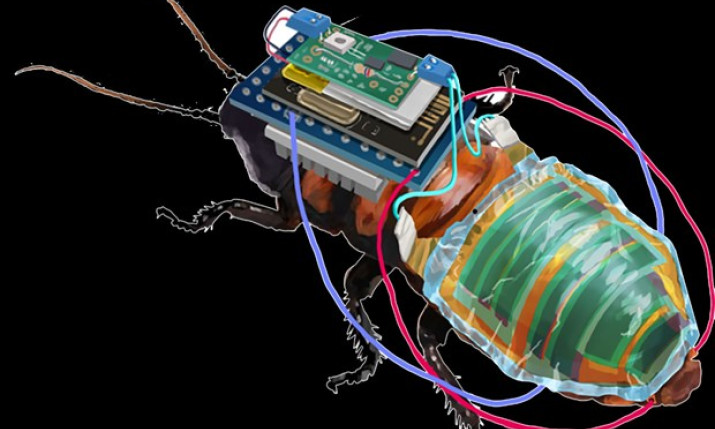 Nhật Bản phát triển gián cyborg để thực hiện các nhiệm vụ đặc biệt