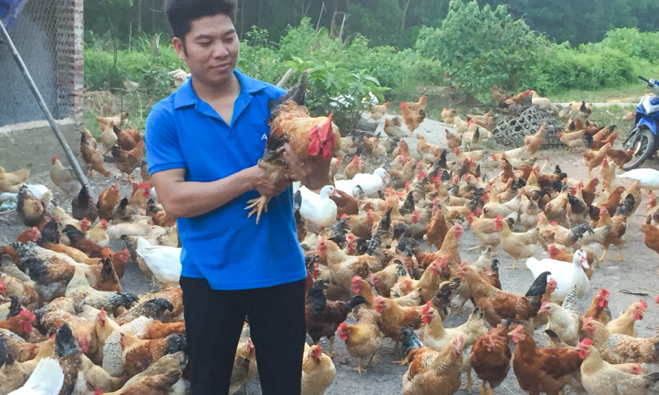 Đầm Hà: Hỗ trợ sinh kế cho người dân