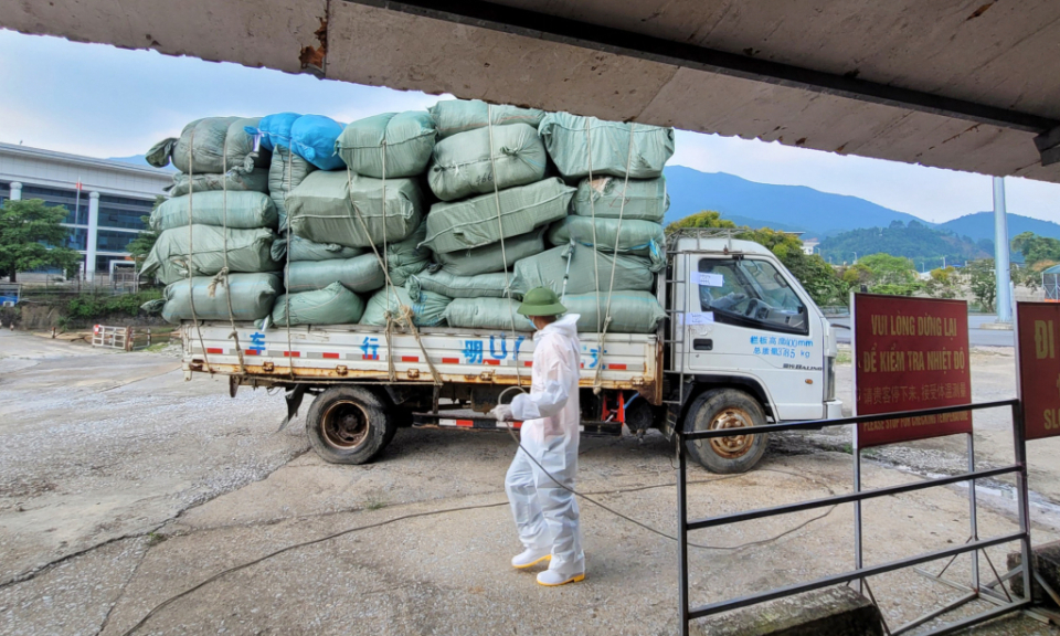 Bac Phong Sinh border gate resumes customs clearance activities