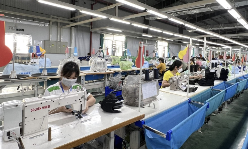 Xây dựng quan hệ lao động: Nhìn từ doanh nghiệp FDI