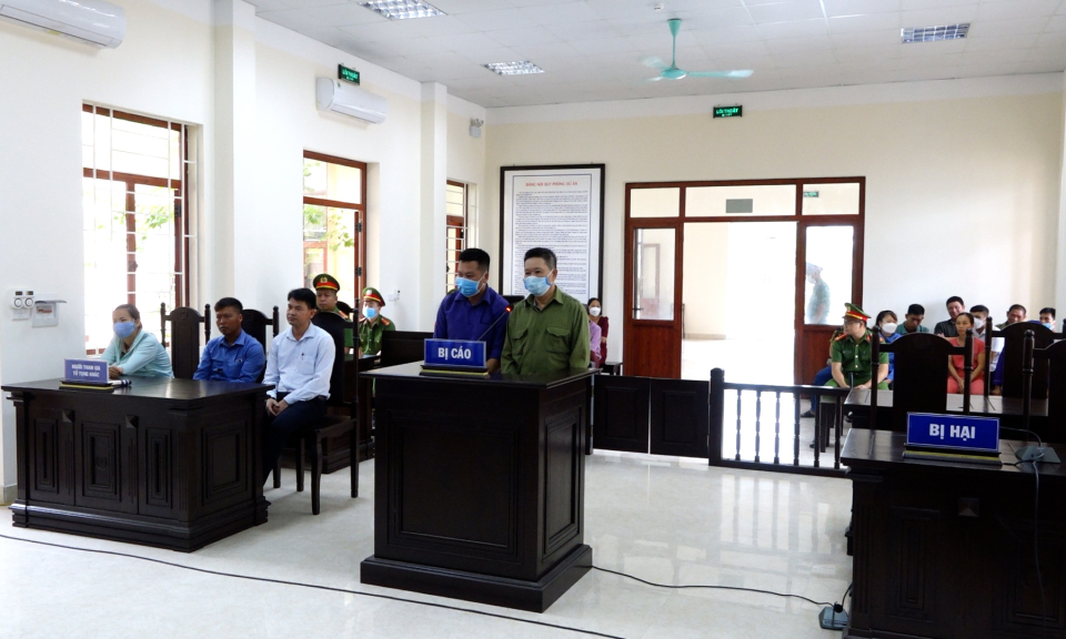Ba Chẽ: 39 tháng tù vì tội “Hủy hoại rừng”