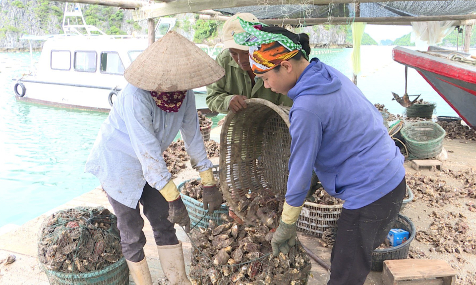 Chuyển đổi số trong sản xuất, kinh doanh thủy sản