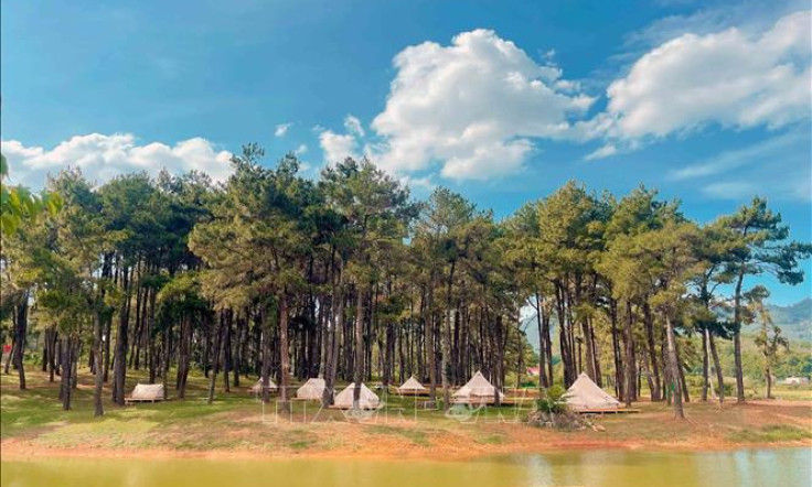 Giải thưởng quốc tế - khẳng định thương hiệu điểm đến du lịch Việt Nam