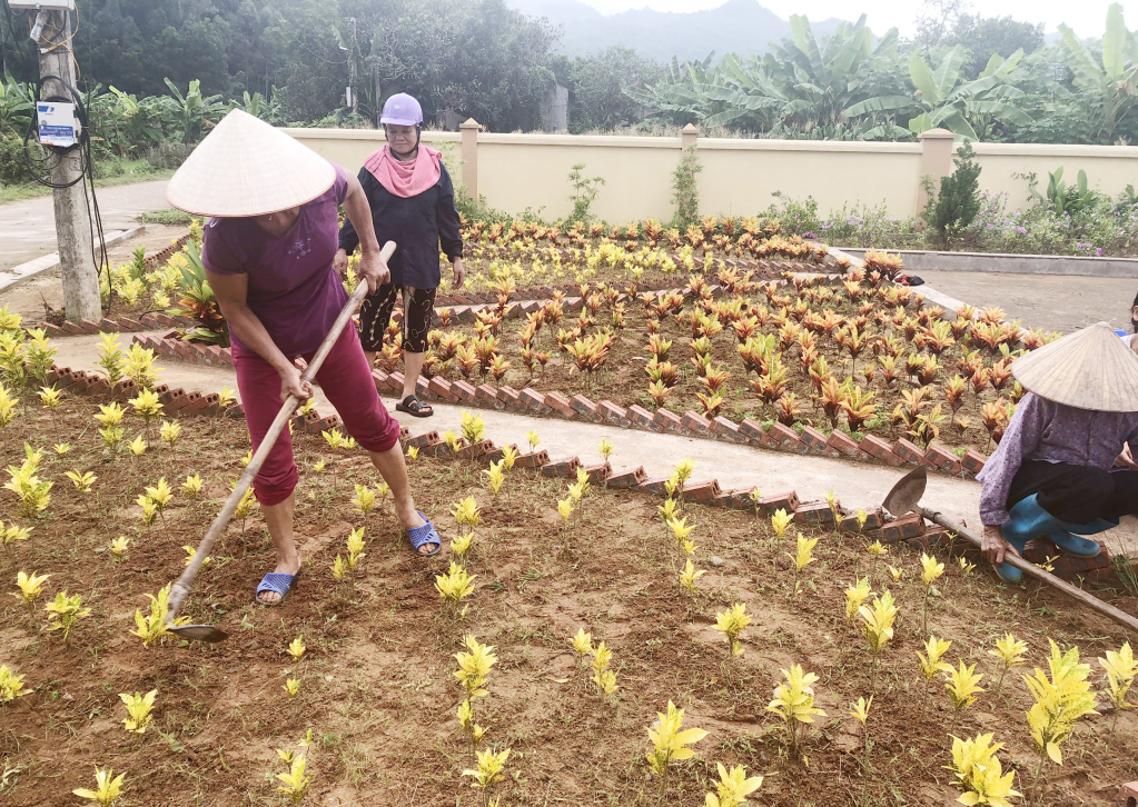 Nhân dân trong xã Phong Dụ tham gia trồng
