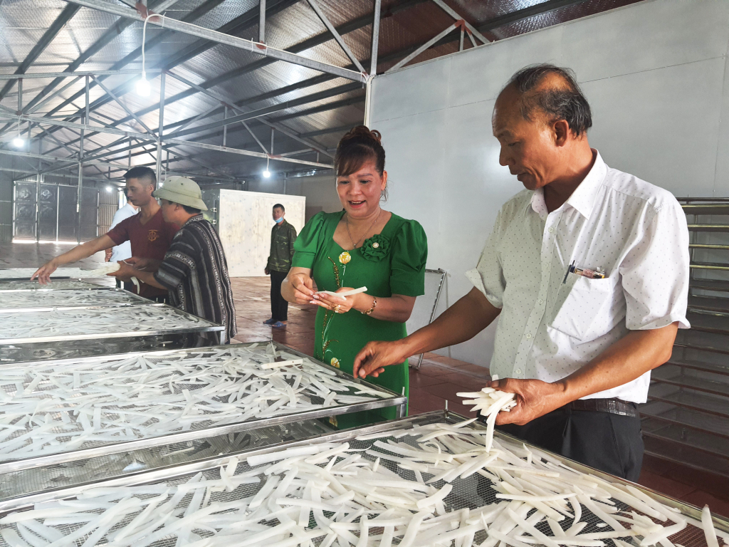 Gia đình ông Nguyễn Đức Ngời, thị trấn Đầm Hà, huyện Đầm Hà mạnh dạn đầu tư máy thái công nghiệp để thái củ cải, nhằm tăng năng suất, chất lượng sản phẩm.