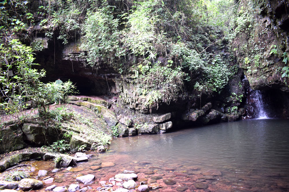 Trong rừng Bản Danh có hang Rồng rất nổi tiếng với những nhũ đá mang hình bò sát khổng lồ. Bên cạnh hang Rồng có thác nước nhỏ.