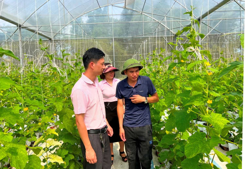 Lãnh đạo NHCSXH huyện thăm mô hình trồng dưa trong nhà màng của HTX hữu cơ Thành Đạt.