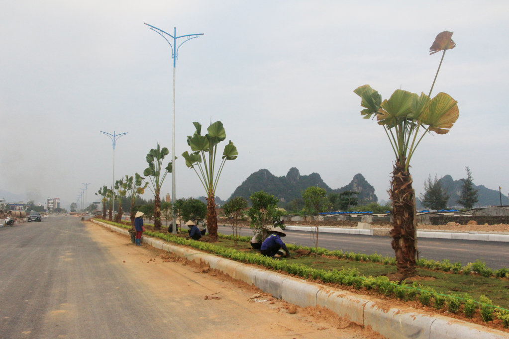 Công nhân đang tích cực trồng cây xanh dọc tuyến đường trục chính khu đô thị Cái Rồng.