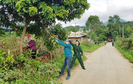 Người dân xã Quảng Lâm phát tỉa cây ven đường để đảm bảo an toàn giao thông và mỹ quan.