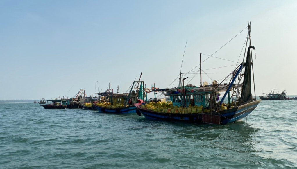 Không chỉ làm cạn kiệt nguồn lợi thủy sản ven bờ, các tàu giã cào này còn trực tiếp làm ảnh hưởng tới các doanh nghiệp xuất khẩu thủy sản.