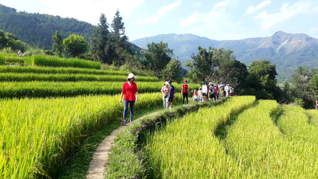 Ảnh 4: Thời điểm tháng 10, tháng 11, du khách không ngại đường xa để tới đây chụp ảnh lưu giữ khoảnh khoắc mùa lúa chín.