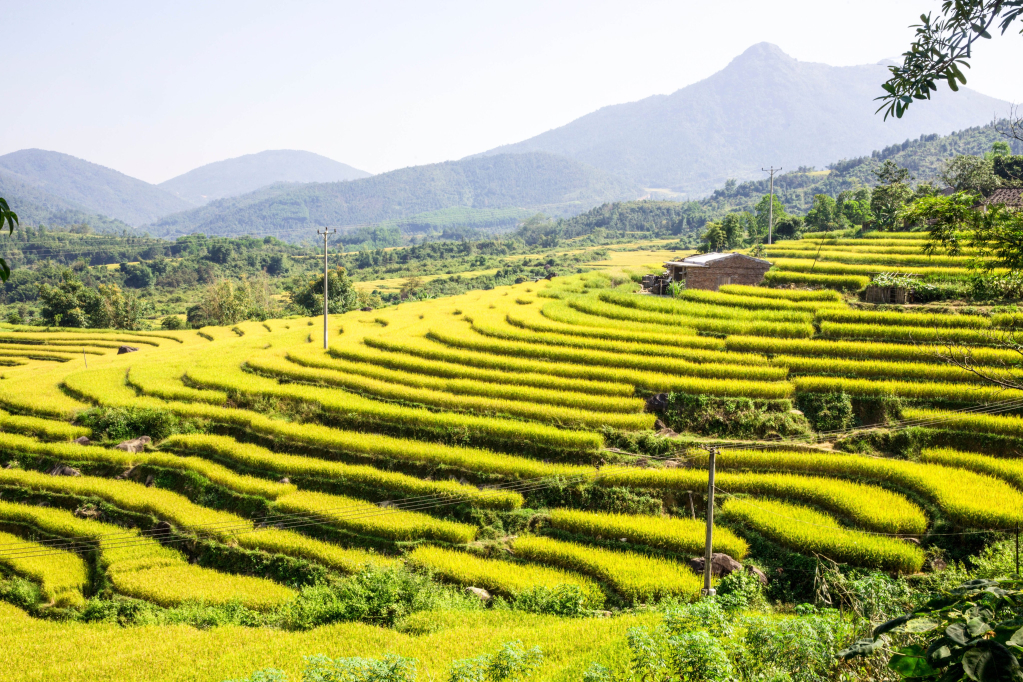 Rừng, núi, mây trời và ruộng bậc thang như hòa vào nhau tạo nên một bức tranh thiên nhiên vừa nên thơ vừa hùng vĩ.