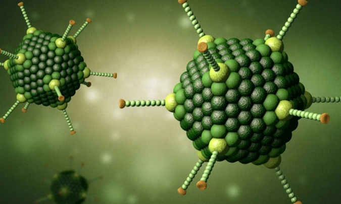Những biến chứng nguy hiểm từ Adeno virus