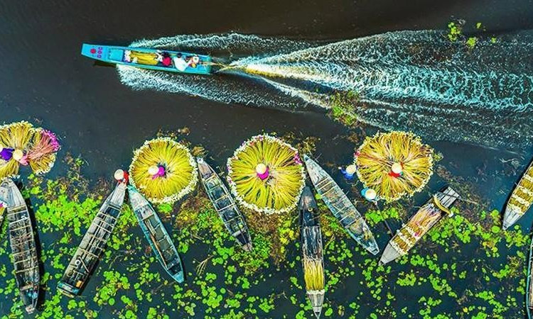 An Giang’s beauty during the floating season