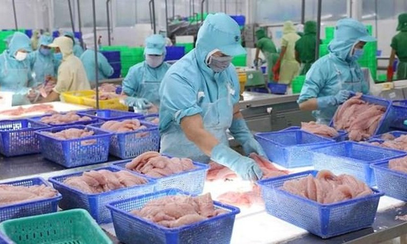 Export value of aquatic products up 38% in nine months
