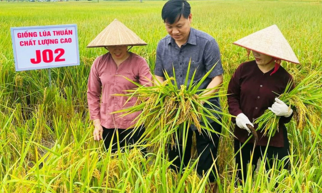 Kỳ vọng nhóm sản xuất có dư địa phát triển