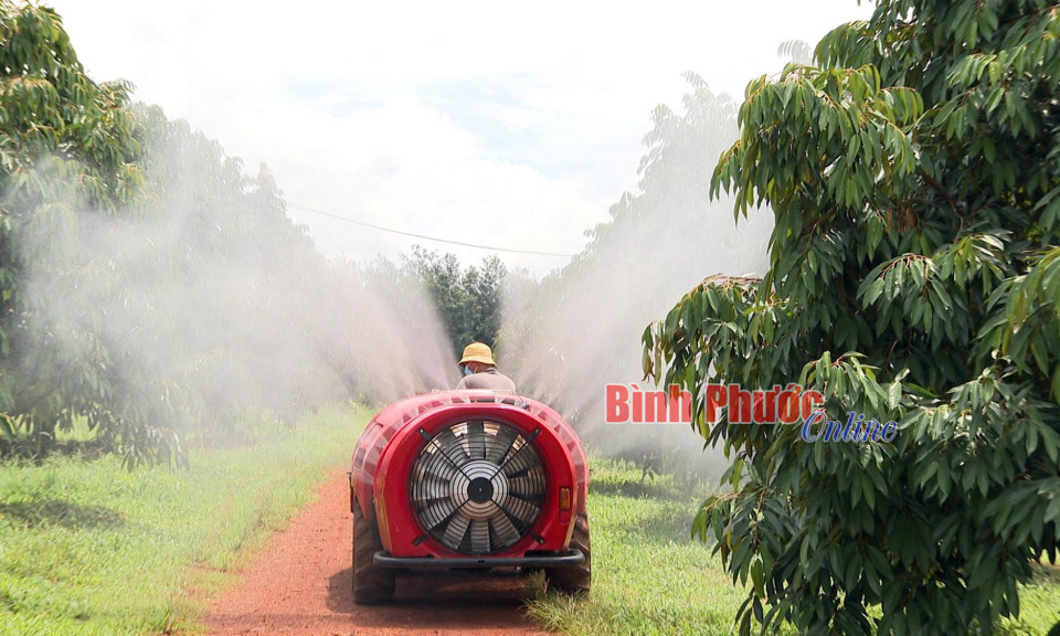 Bệ đỡ nông nghiệp Bình Phước cất cánh