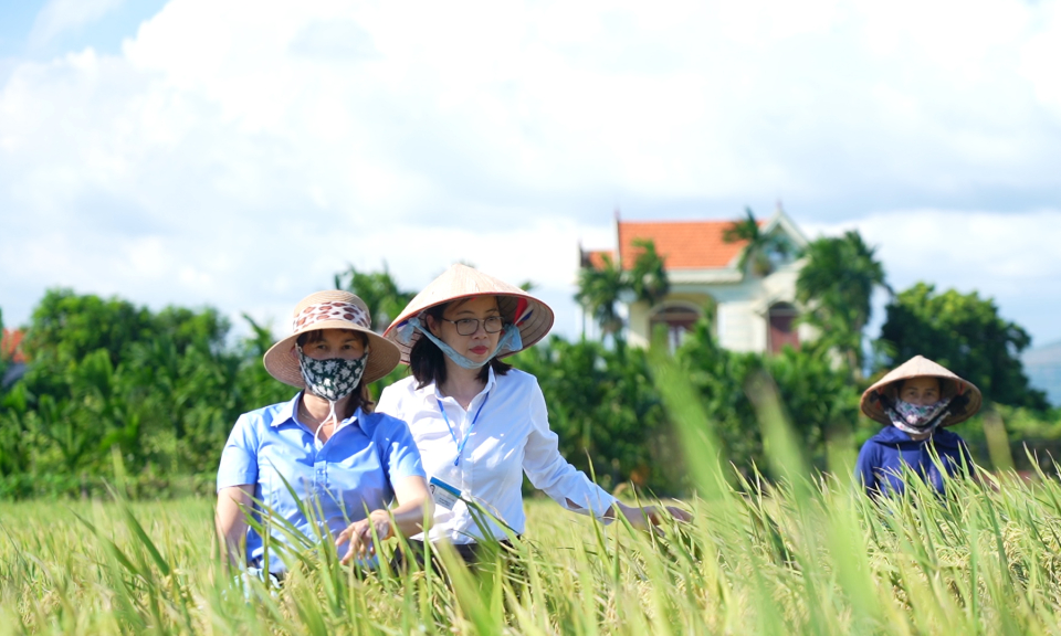Phát huy vai trò của phụ nữ trong tham gia xây dựng Đảng, chính quyền