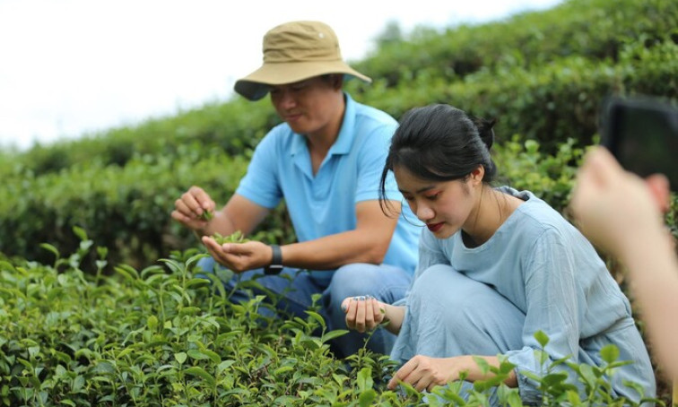 Digital transformation makes changes to rural tourism