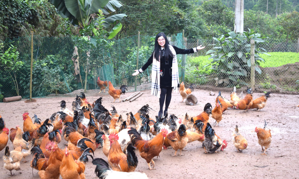 Đến với xã vùng cao Hà Lâu...