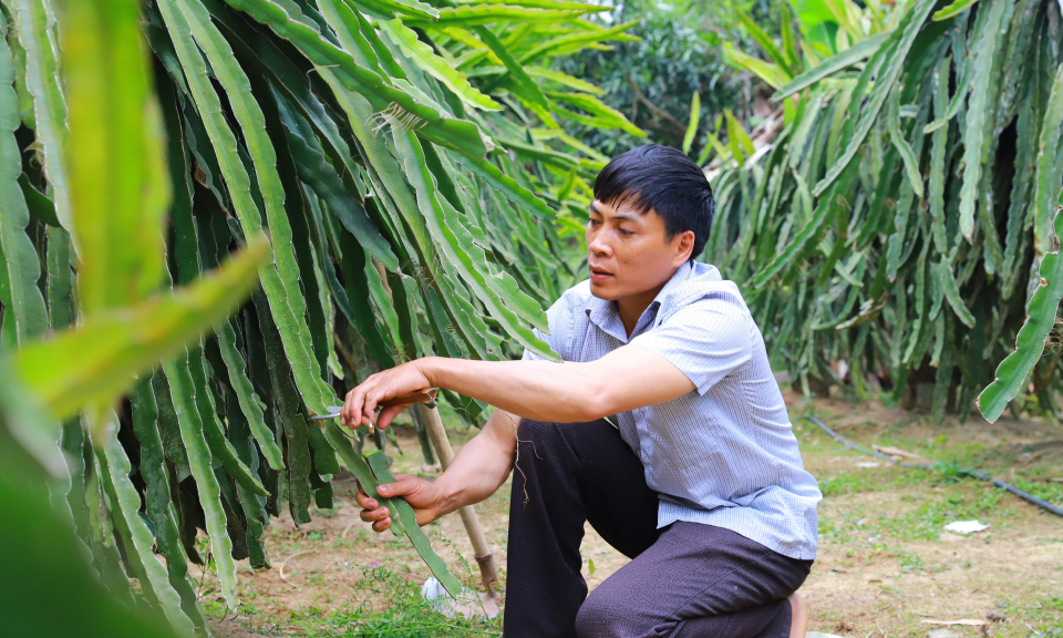 Nỗ lực giảm nghèo ở Bình Liêu