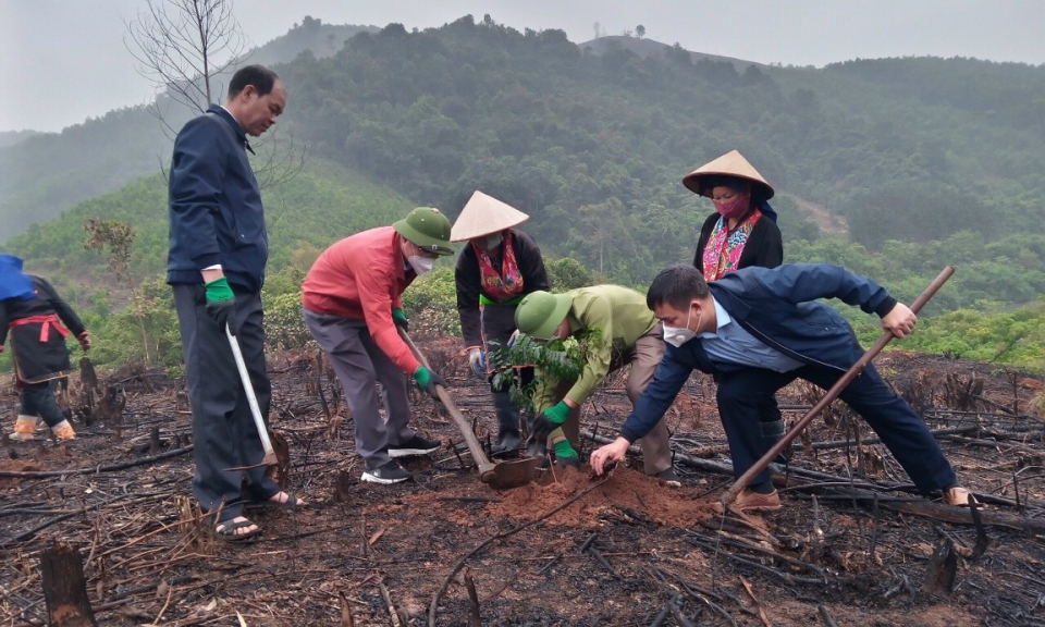 Phát triển lâm nghiệp bền vững