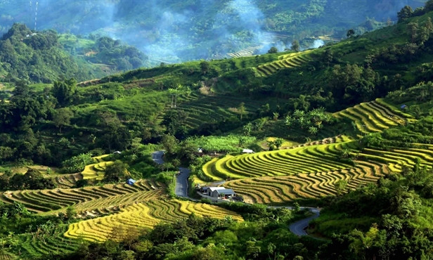 Việt Nam among most searched tourist destinations on Google by Australians