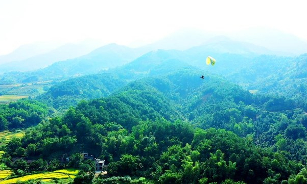 Binh Lieu graps golden opportunity to develop forestry industry