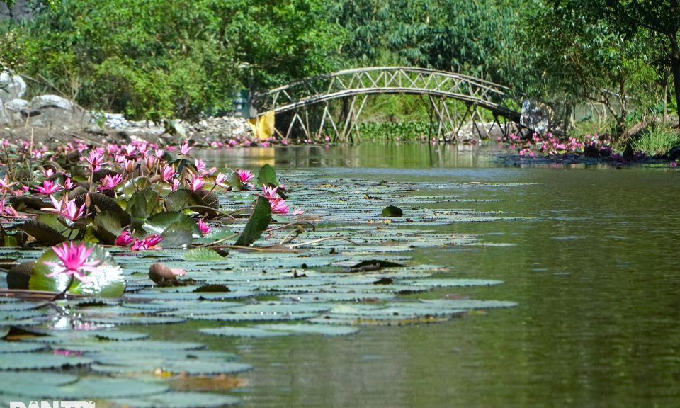 Ngắm mùa thu ở "tuyệt tình cốc" của xứ Thanh