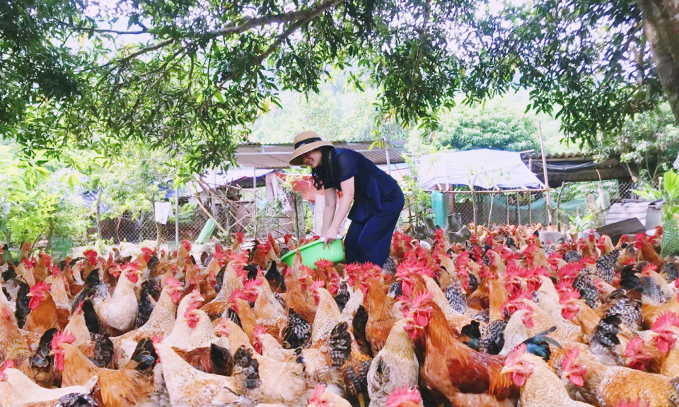 TP Hạ Long: Lan tỏa phong trào nông dân sản xuất kinh doanh giỏi