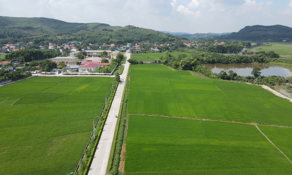 Huy động mạnh mẽ các nguồn lực